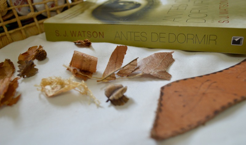 antes-de-dormir-sj-watson-minha-vida-literaria3