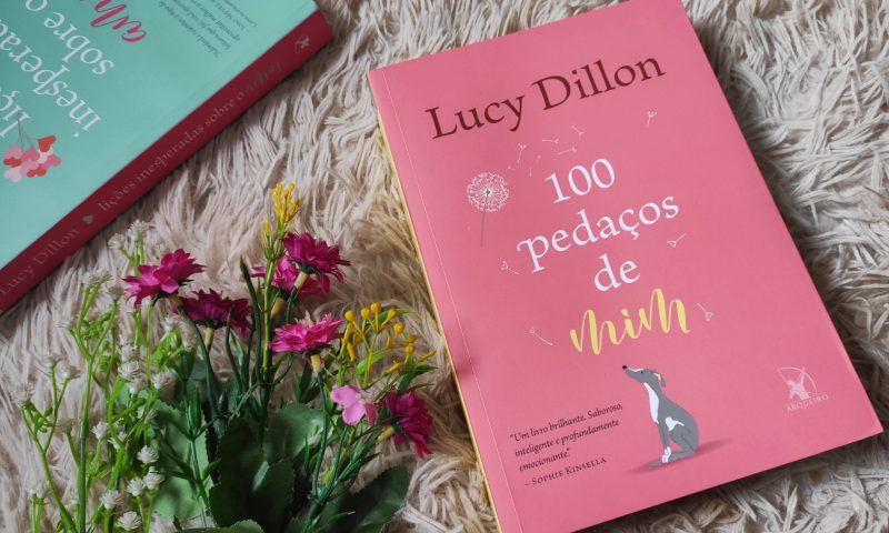 [Resenha] 100 Pedaços de Mim — Lucy Dillon