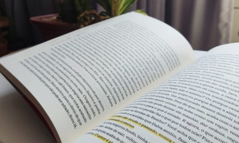 [Resenha] Tudo é rio — Carla Madeira - Minha Vida Literária